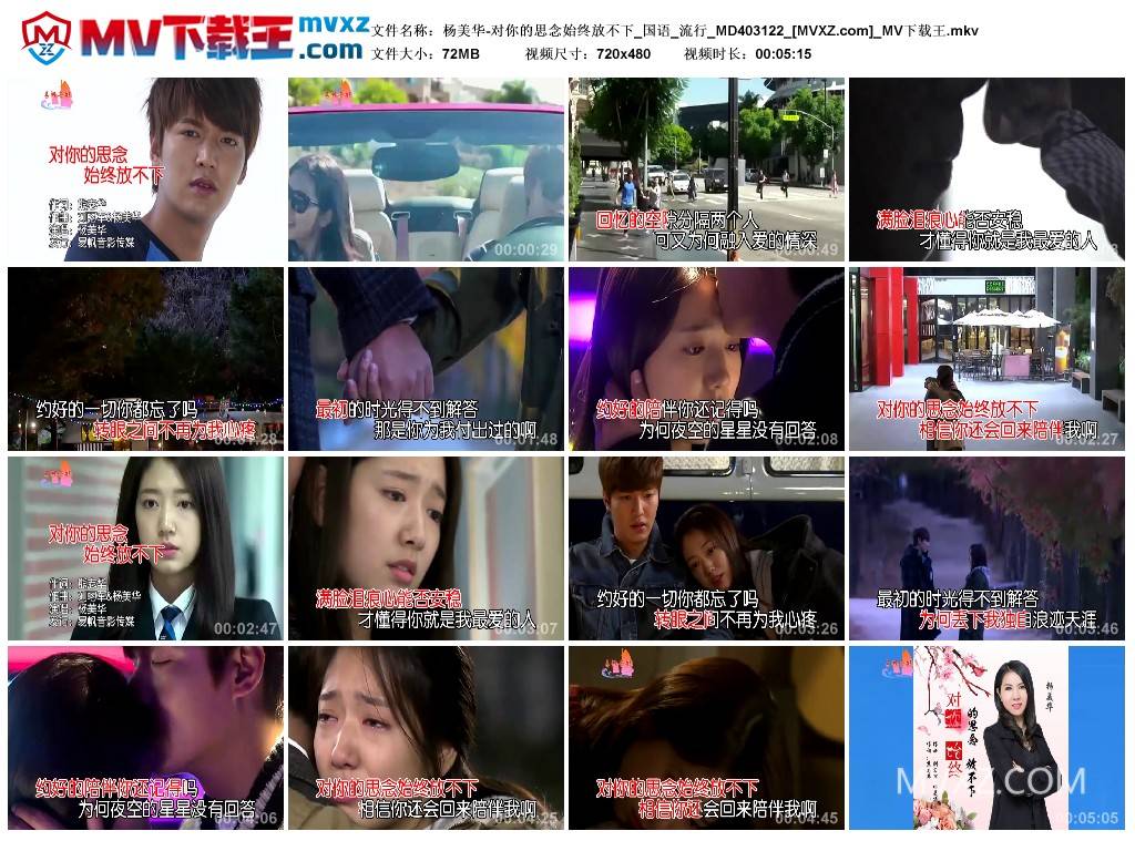 杨美华-对你的思念始终放不下_国语_流行_MD403122